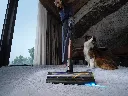 Effortless Deep Pile Cleaning-长毛地毯清洁-.webp